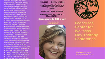 Conference with Katrina : A workshop on Play Therapy